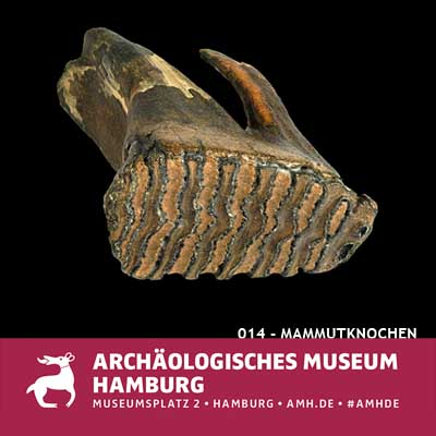 Mammut Archäologisches Museum Hamburg