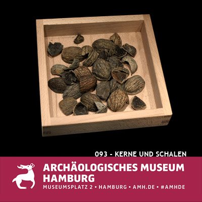 Objekt: Pflaumenkerne, Walnussschalen und Kirschkerne Alter: 1300 - 1900 (Mittelalter/Neuzeit) Fundort: Hamburg-Altstadt