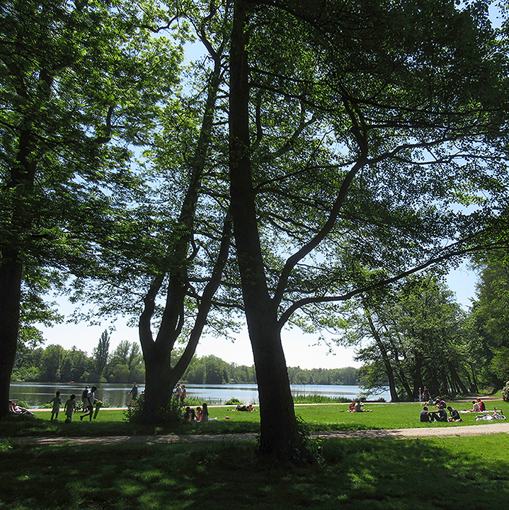 Wiese, Bäume, Menschen
