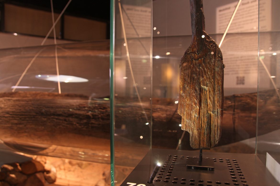 Paddel von Duvensee in der archäologischen Dauerausstellung