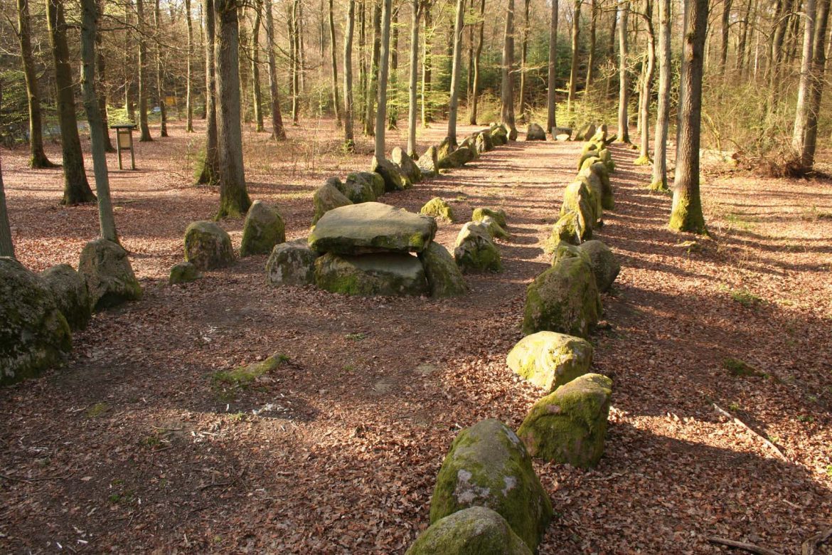 Grosssteingrab im Klecker Wald