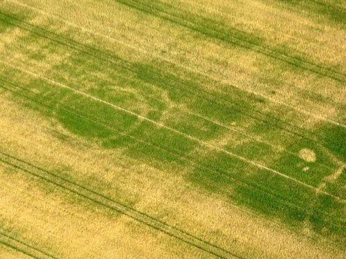 Auf einem Feld sind die kreisförmigen Spuren einer Grabanlage mit einem Doppelgraben in der Gemarkung Eydelstedt, Ldkr. Diepholz zu sehen.