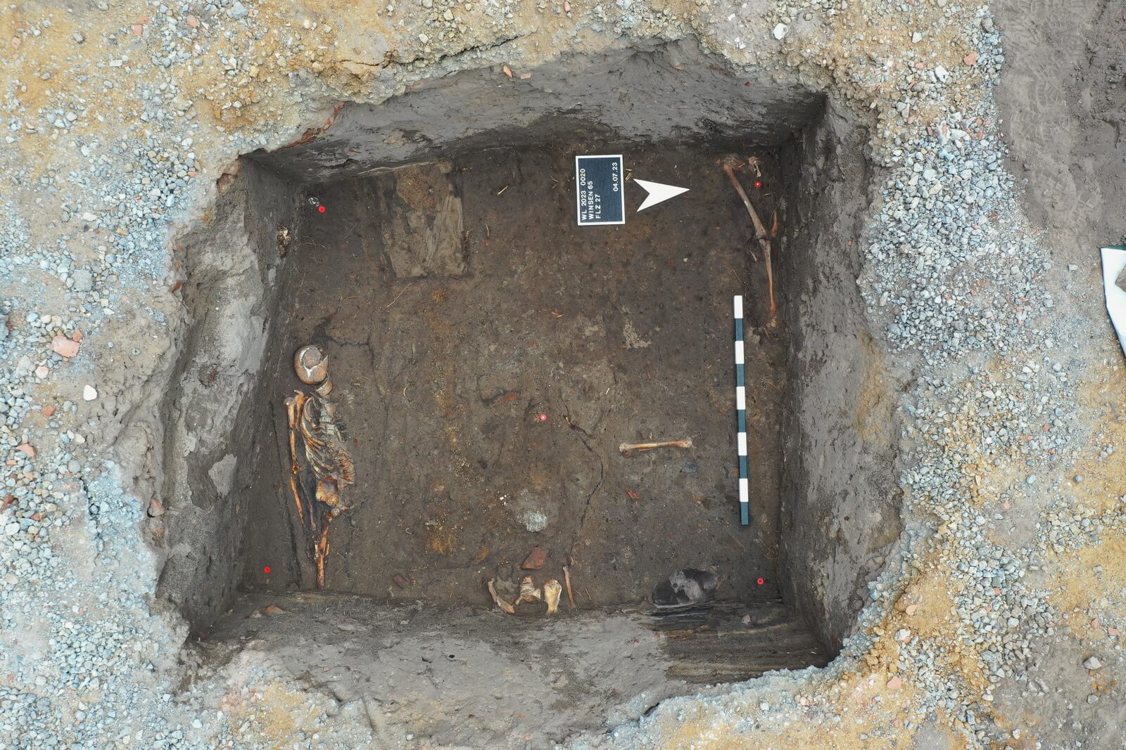 Eine Grube in der Reste von mindestens drei begrabenen Skeletten liegen